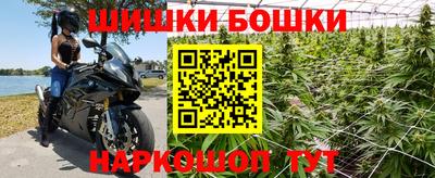 гидропоника Новозыбков